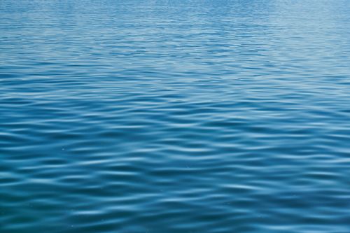 Free Serene ocean surface with gentle ripples under clear sky, ideal for nature backgrounds. Stock Photo