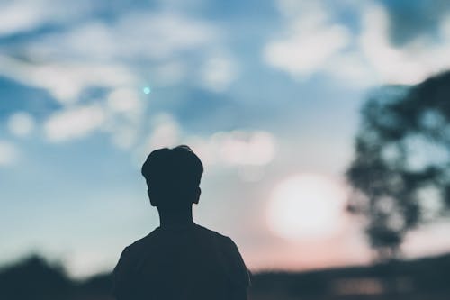 Free Silhouette of Person Stock Photo