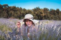 阳光明媚，一位女士在盛开的熏衣草地里享受轻松时光