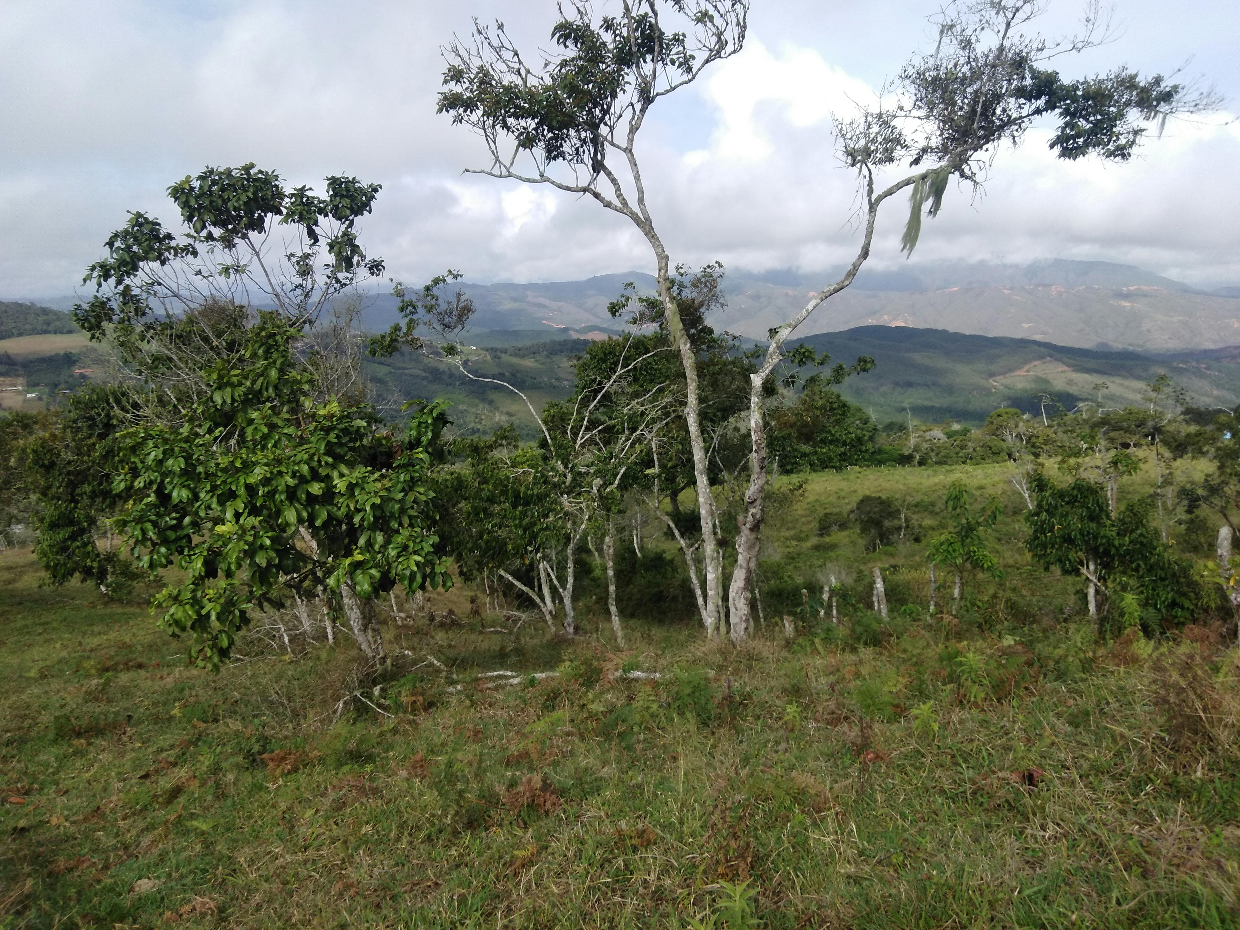 Vibrant Floral Arrangement