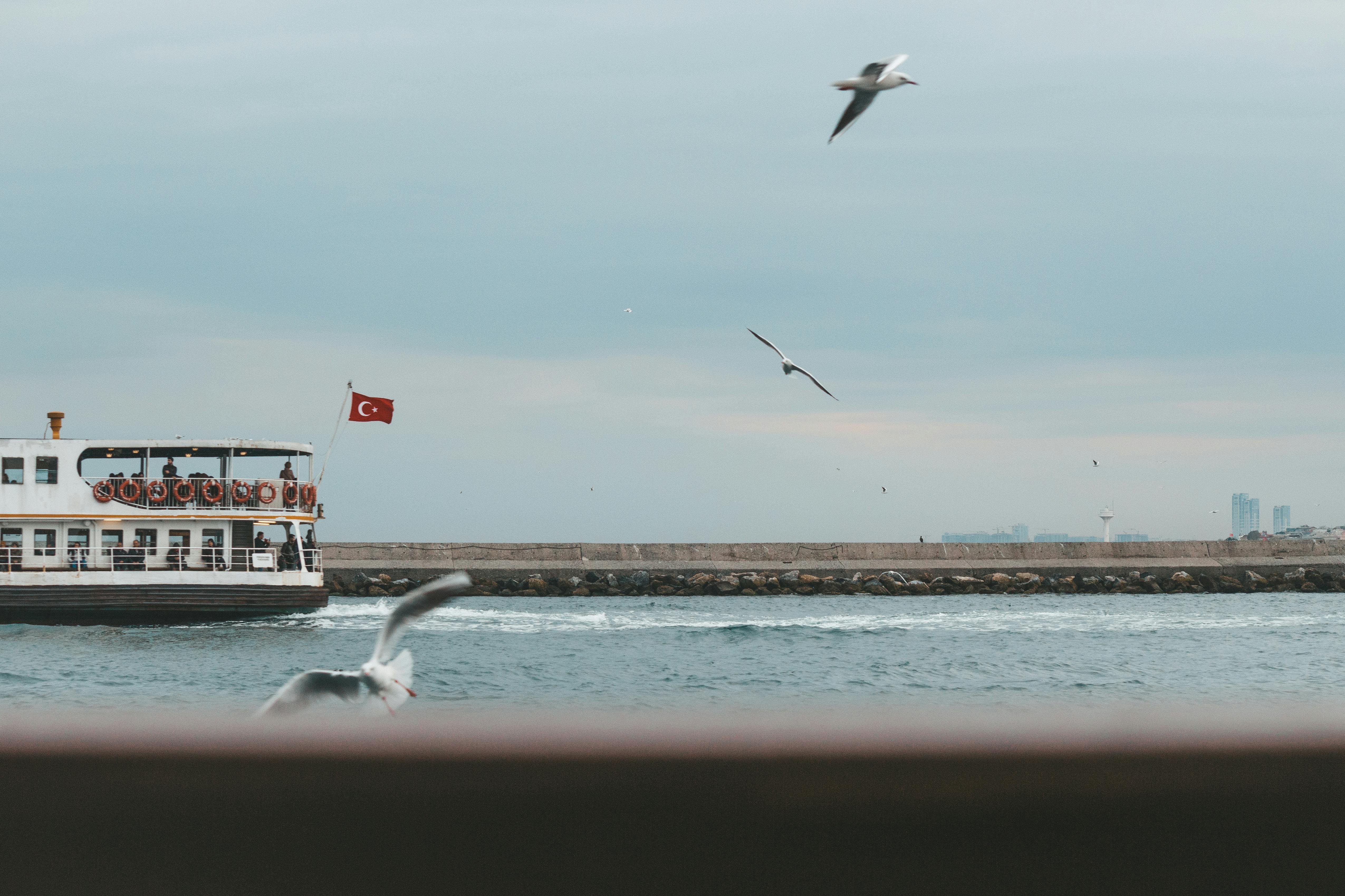 在多云的天空下，一艘悬挂着土耳其国旗的渡轮正在航行，海鸥飞来飞去，营造出宁静的海景