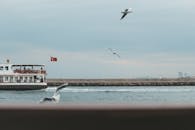 在多云的天空下，一艘悬挂着土耳其国旗的渡轮正在航行，海鸥飞来飞去，营造出宁静的海景