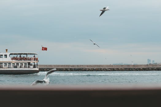 在多云的天空下，一艘悬挂着土耳其国旗的渡轮正在航行，海鸥飞来飞去，营造出宁静的海景