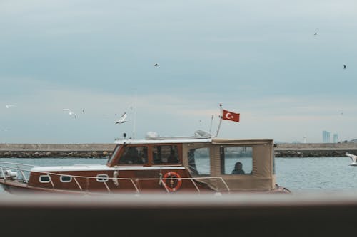 Beige and Brown Boat