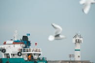 一艘船驶过灯塔，海鸥在晴朗的天空中飞翔