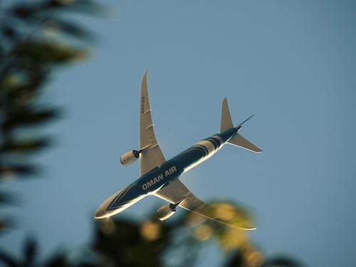 Blauw En Wit Vliegtuig Op Medio Lucht
