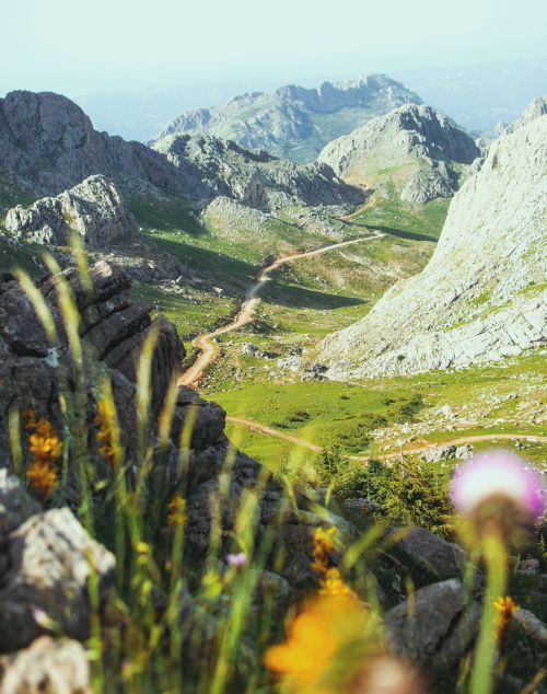 Free A stunning scenic view of the Algerian mountains with a winding path and vibrant flora under a clear summer sky. Stock Photo