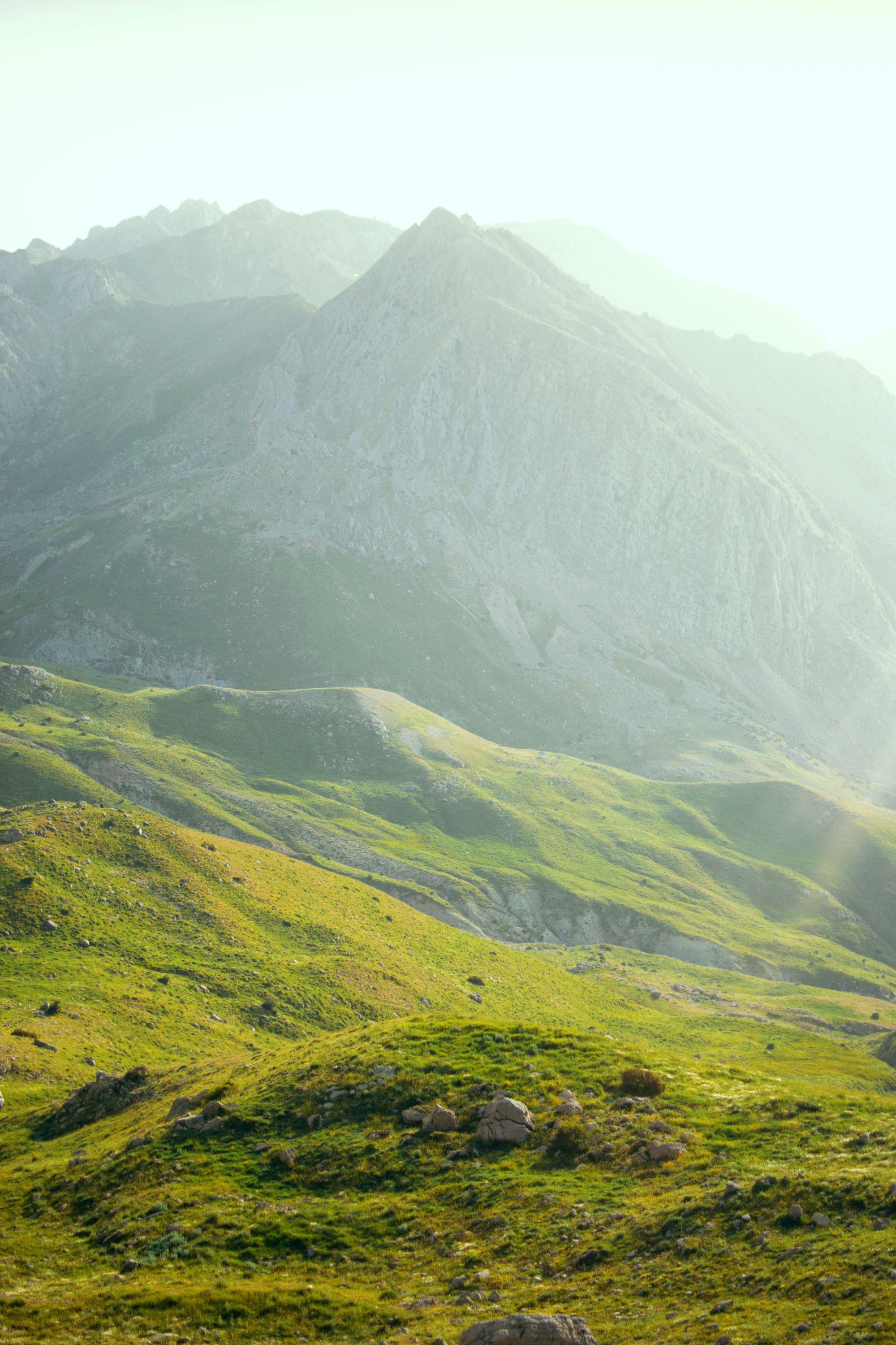 Paisaje verde de Navarra — Mudanzas La Seda Navarra, empresa de mudanzas en Pamplona y toda la Comunidad Foral