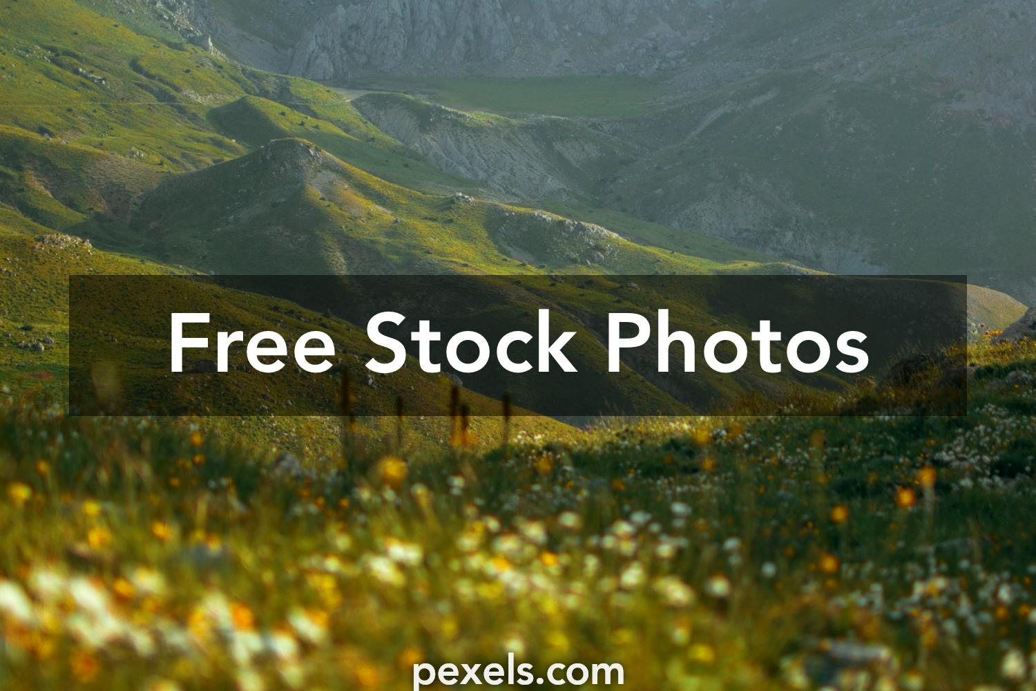 Background Phto Photos, Download The BEST Free Background Phto Stock ...