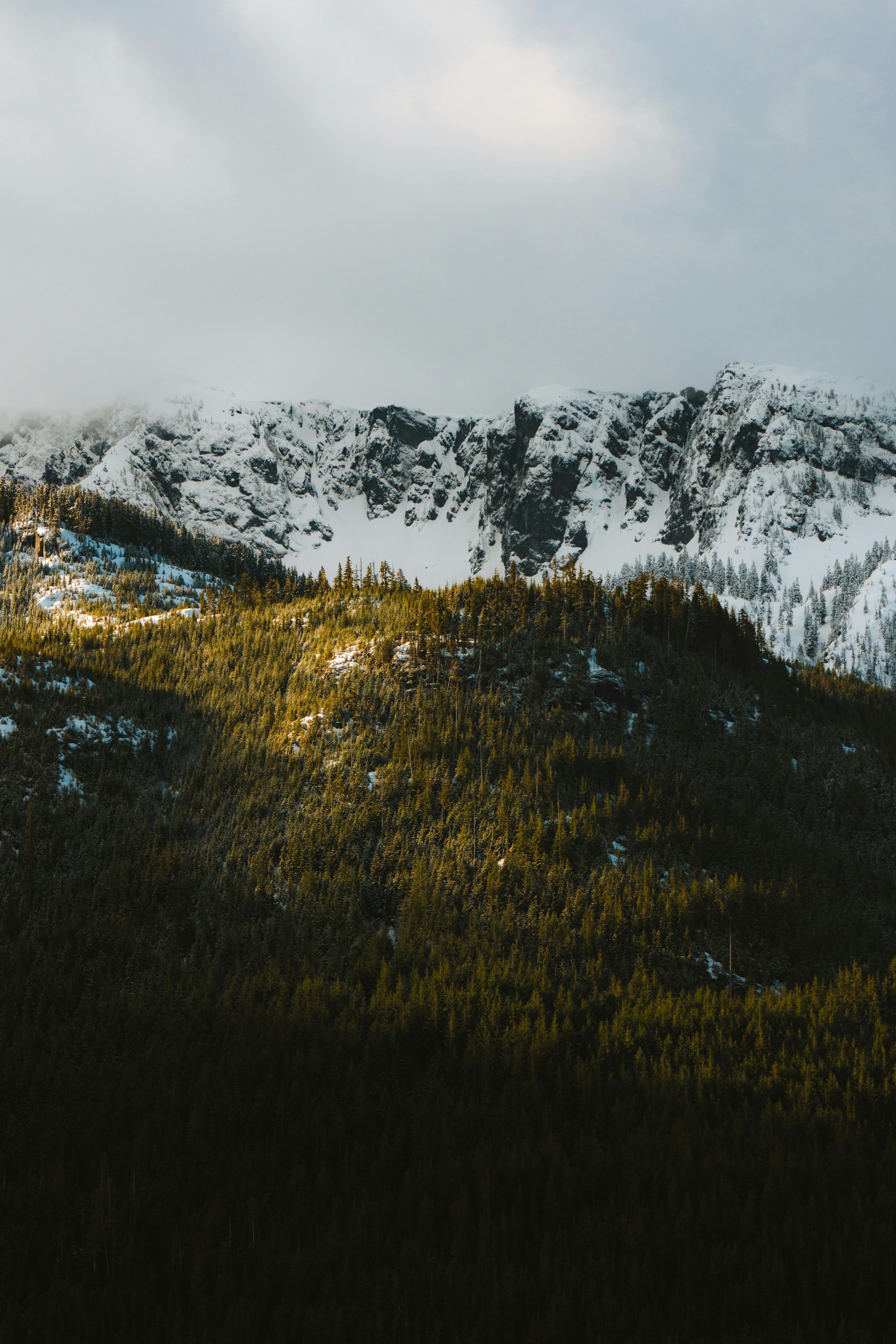 Breathtaking view of snow-capped mountains and dense forests under a cloudy sky.