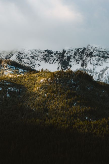 Breathtaking view of snow-capped mountains and dense forests under a cloudy sky.