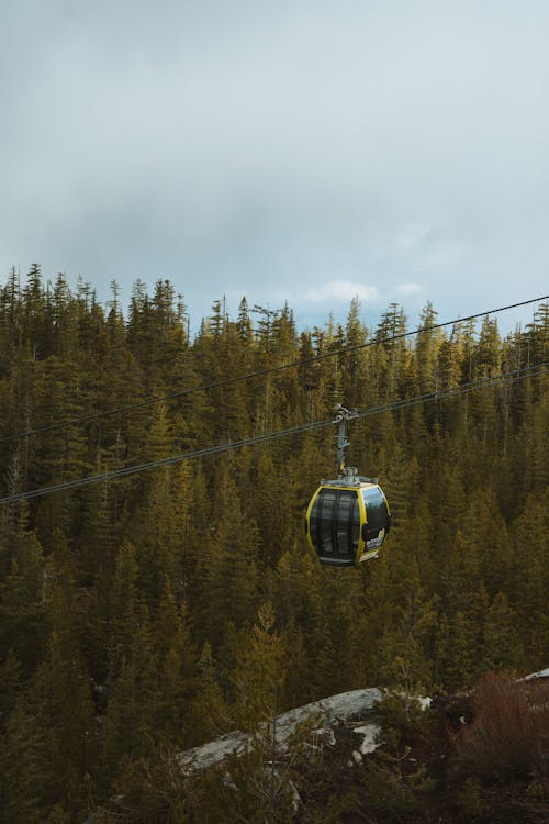 A cable car is suspended over a forest