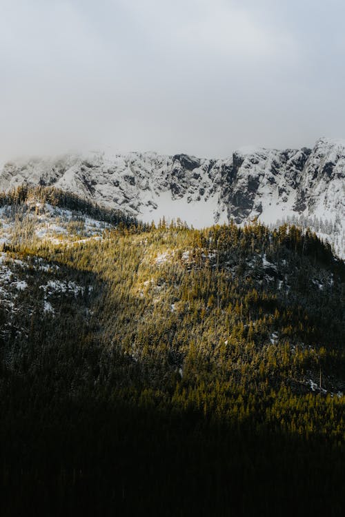 A snowy mountain range with trees and snow covered ground