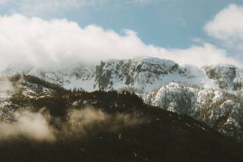 Kostnadsfri bild av berg, dagsljus, dimma