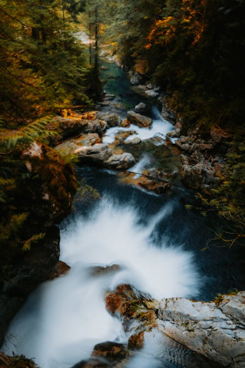 A river flowing through a forest with rocks