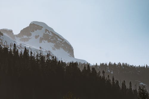 A person standing on top of a mountain with a snow covered peak