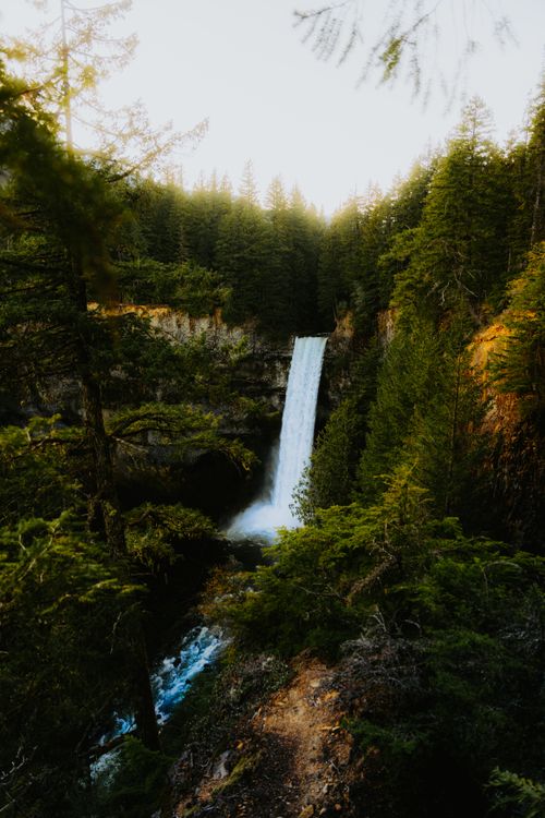 Free A breathtaking waterfall cascades through a verdant forest of evergreen trees. Stock Photo