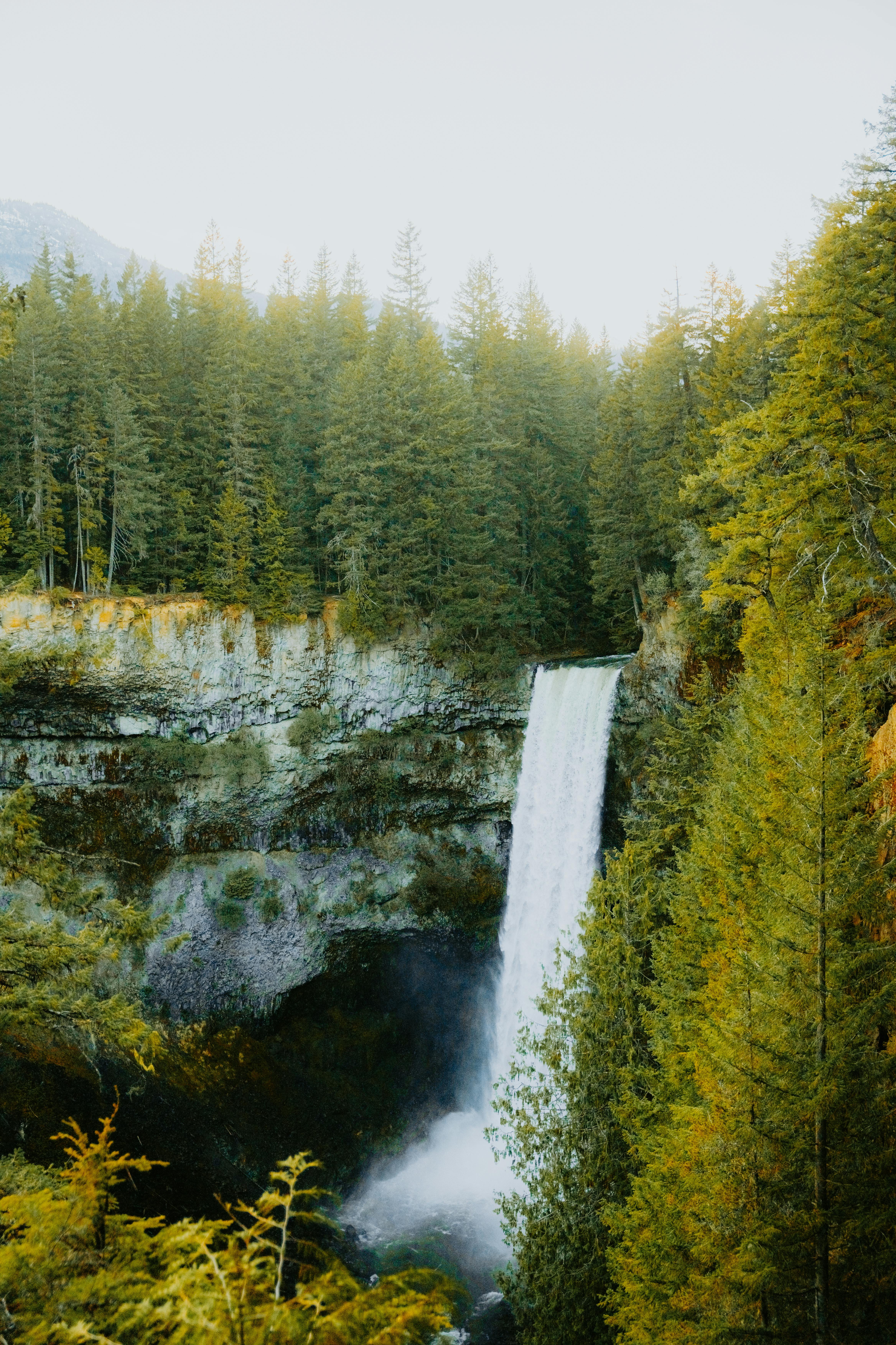 A stunning aerial view of a waterfall cascading through a dense evergreen forest, perfect for nature lovers.