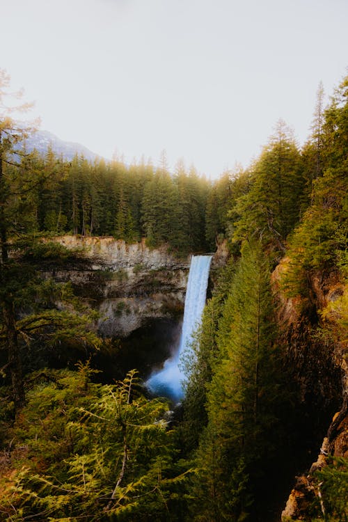 Foto stok gratis air, air terjun, barbar