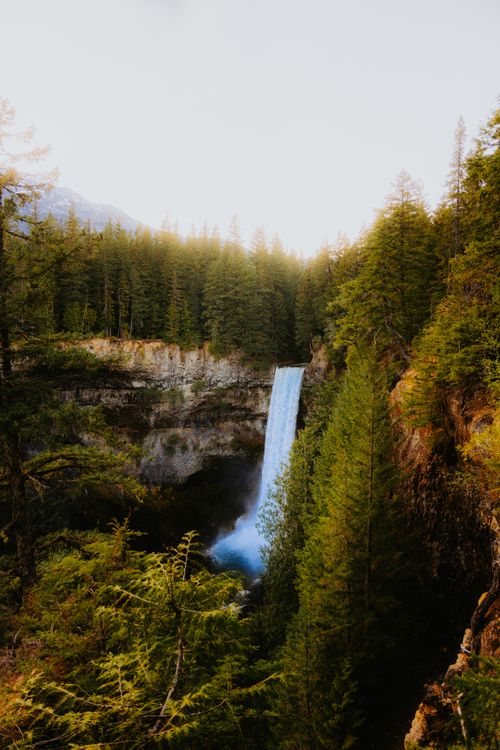 Free Stunning vertical shot of a waterfall surrounded by lush evergreen trees in a serene forest. Stock Photo