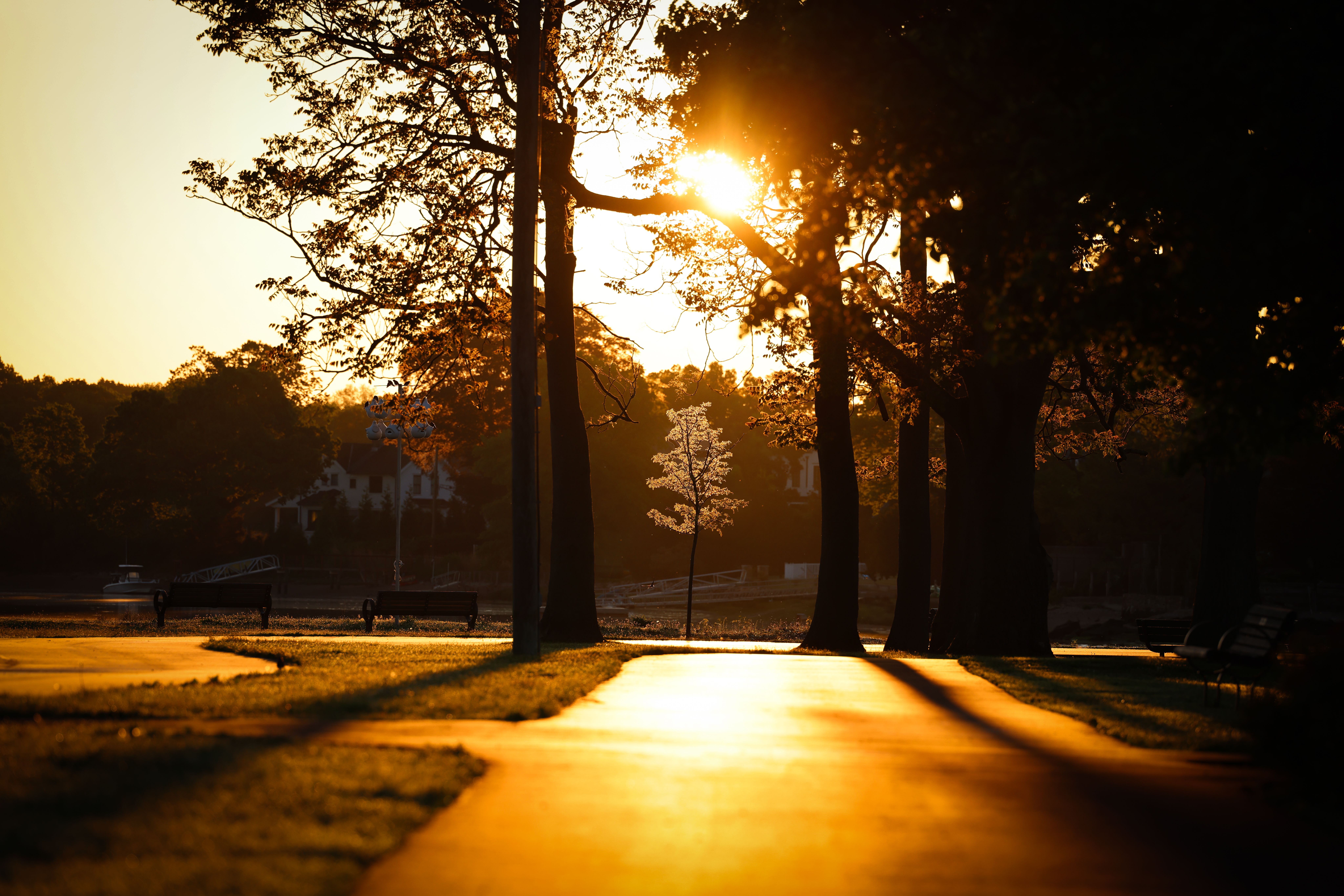 Golden sunset over a park pathway in Stamford, CT with silhouettes of trees.