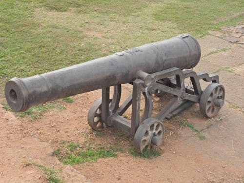 Cannon