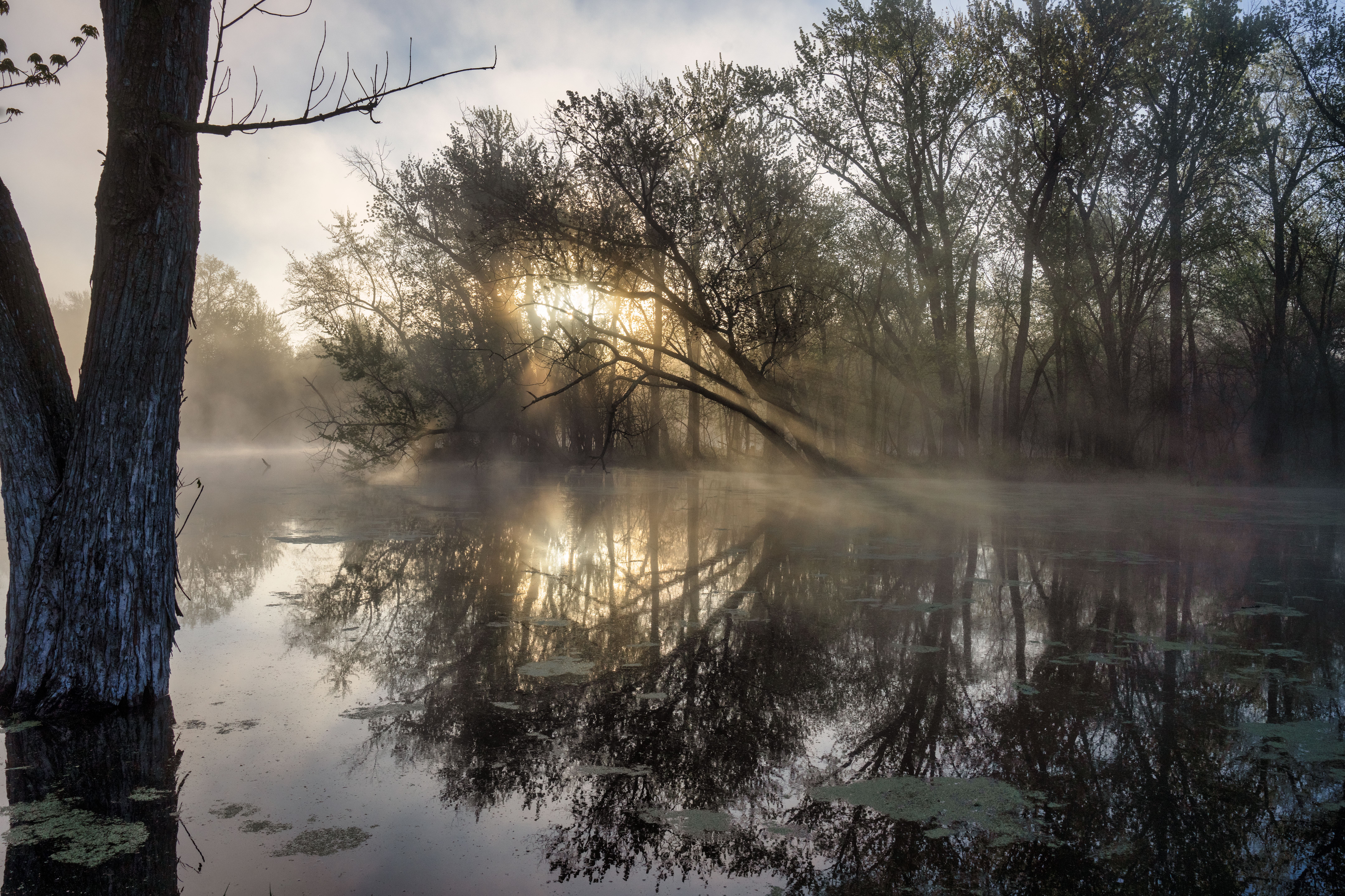 Golden sunlight beams through fine rain mist and water droplets