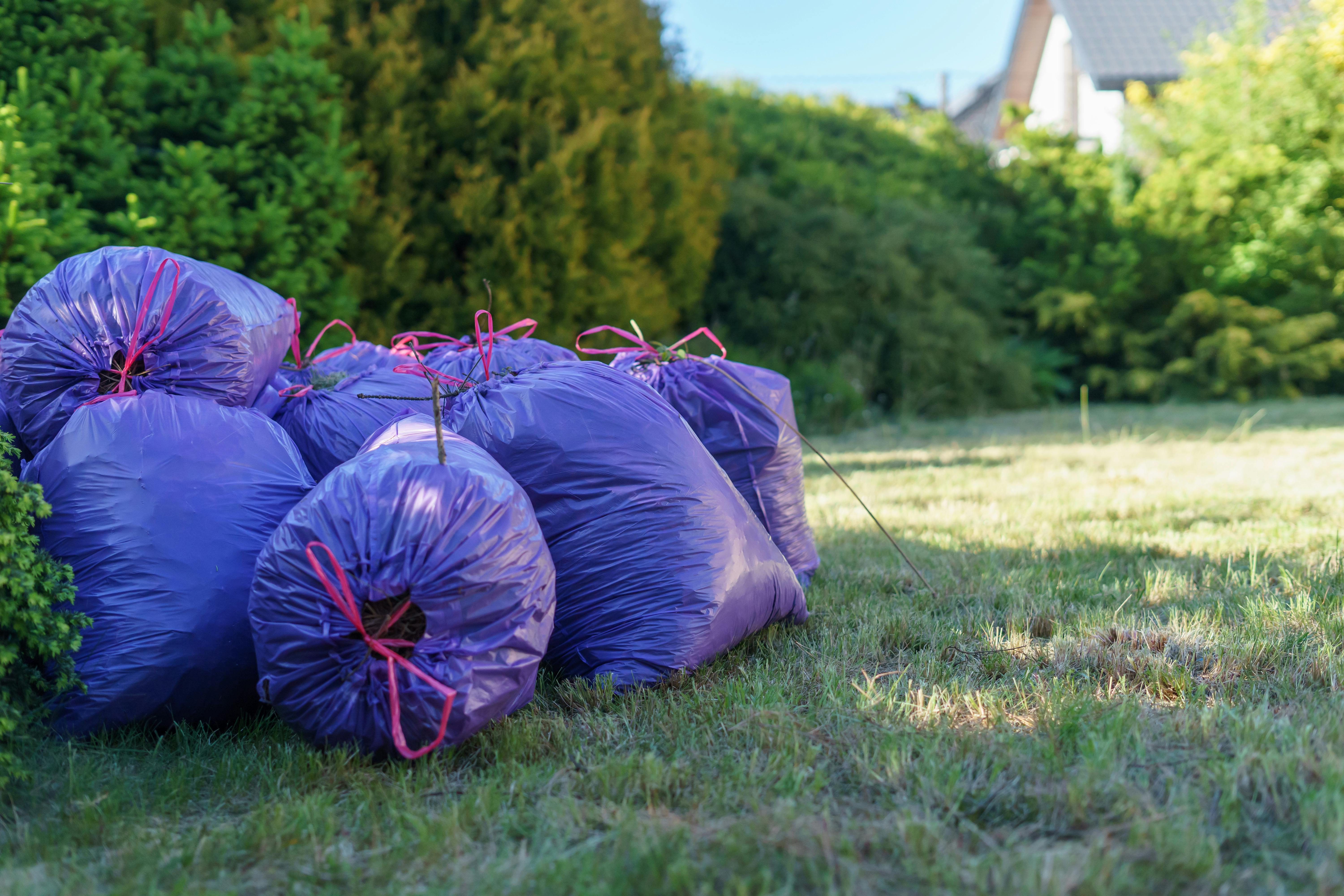 Free Vibrant purple trash bags stacked in a sunlit garden setting, ideal for spring clean-up visuals. Stock Photo