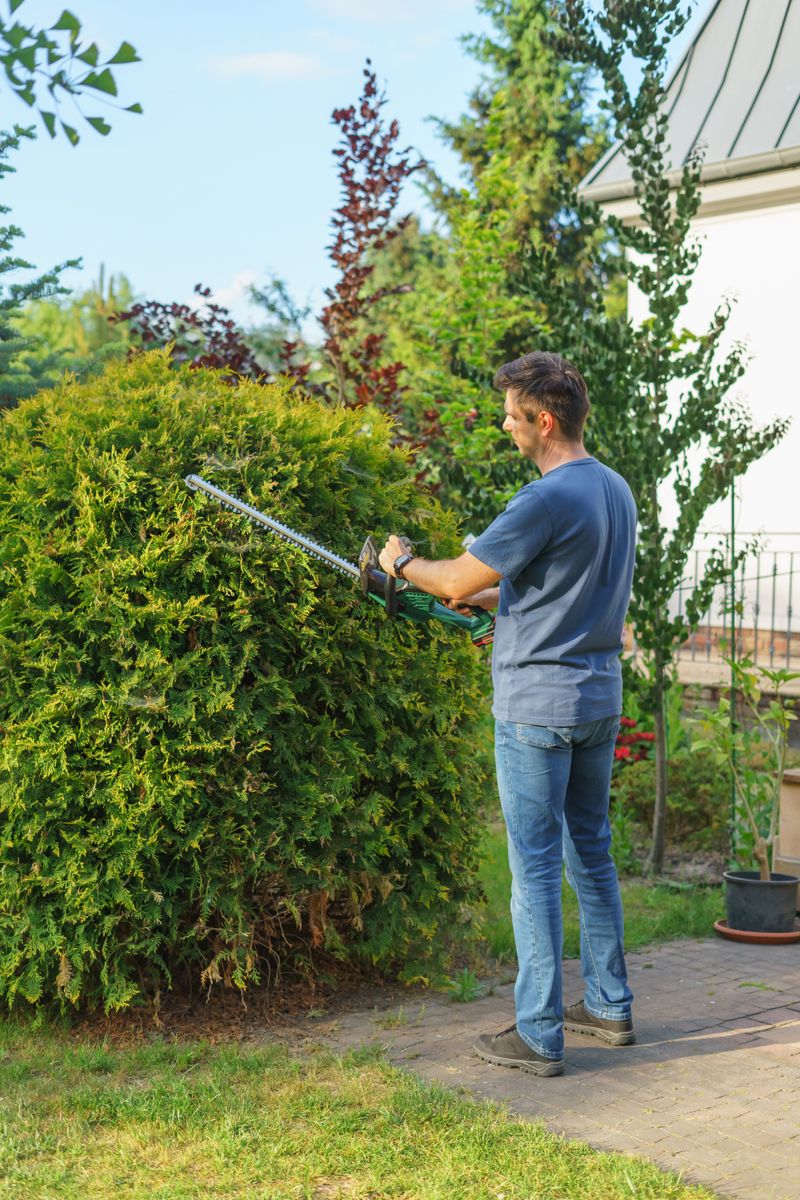 Best Hedge Trimmers of 2026: Battery, Gas, and Corded Picks