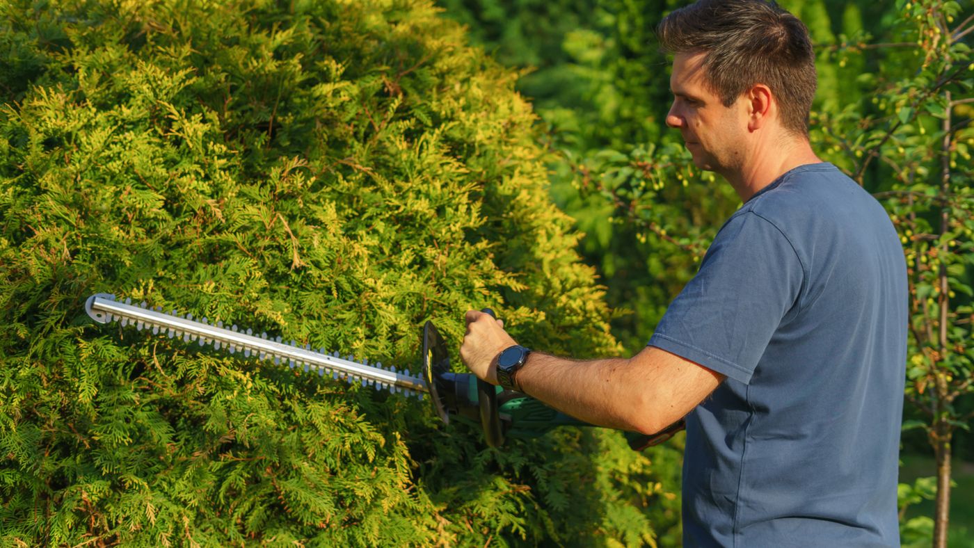 Choosing Power Garden Tools That Won't Wreck Your Back