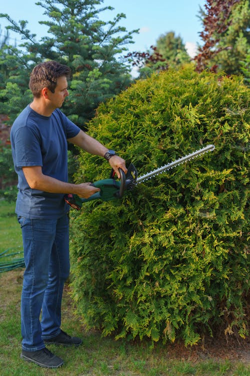 mężczyzna przycina krzewy przy użyciu kosiarki ręcznej na akumulator