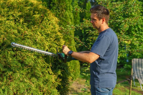 mężczyzna przycina krzewy przy użyciu kosiarki ręcznej na akumulator