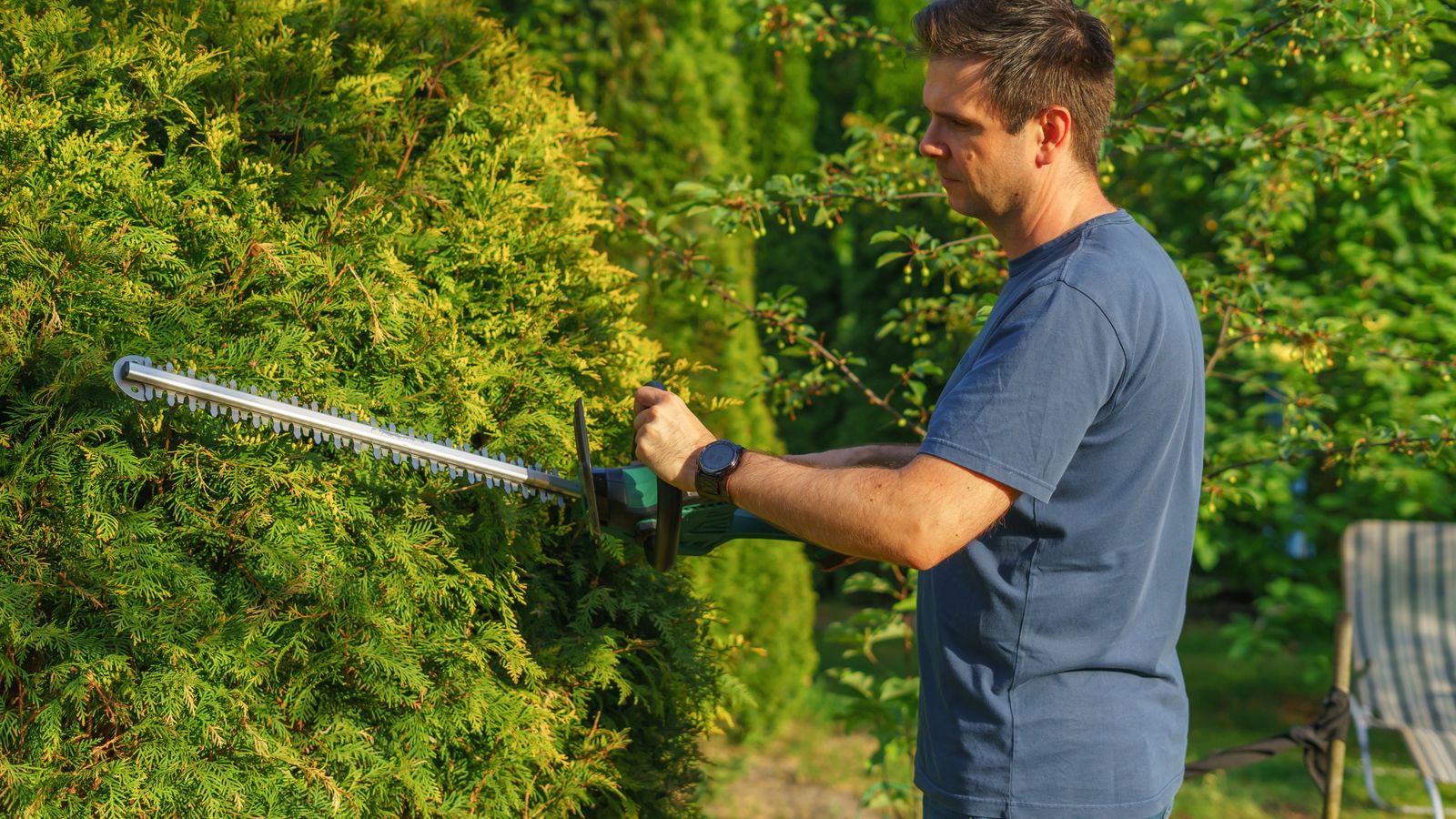 King Clip Gardens work