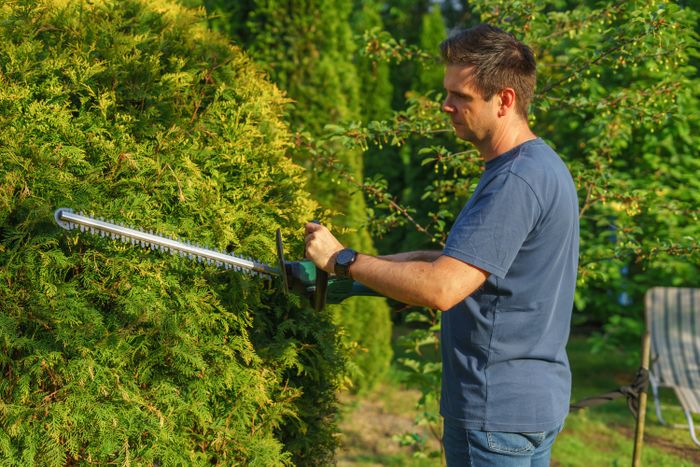 Hedge trimming service