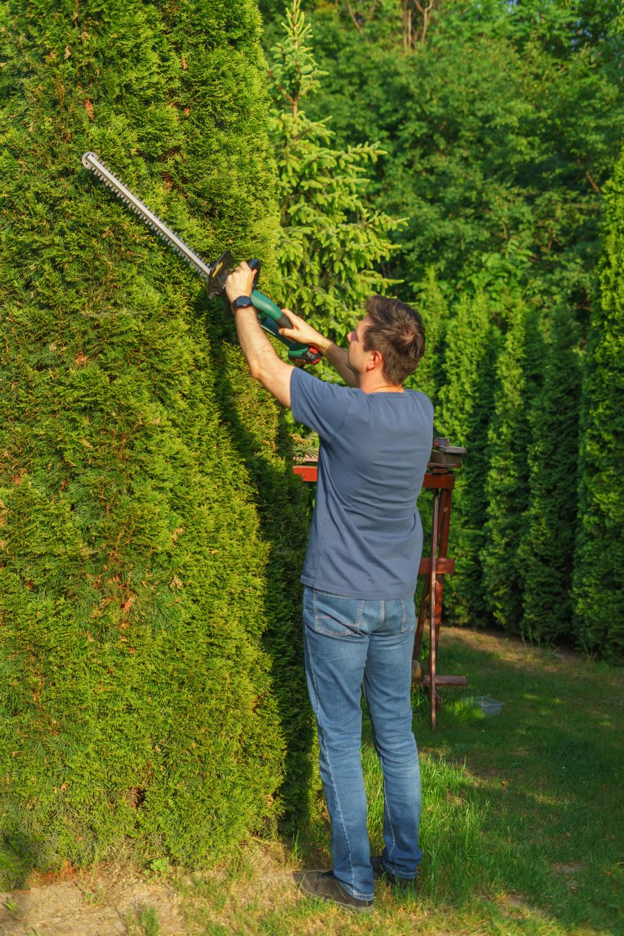 Landscape support and garden care
