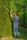 landscaper