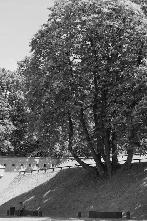 Základová fotografie zdarma na téma hřbitov, muzeum, památník