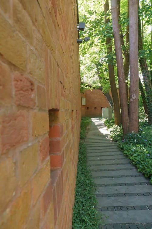 Základová fotografie zdarma na téma hřbitov, muzeum, památník