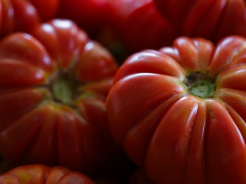 Red tomatoes