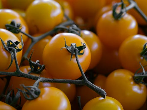 yellow tomatoes