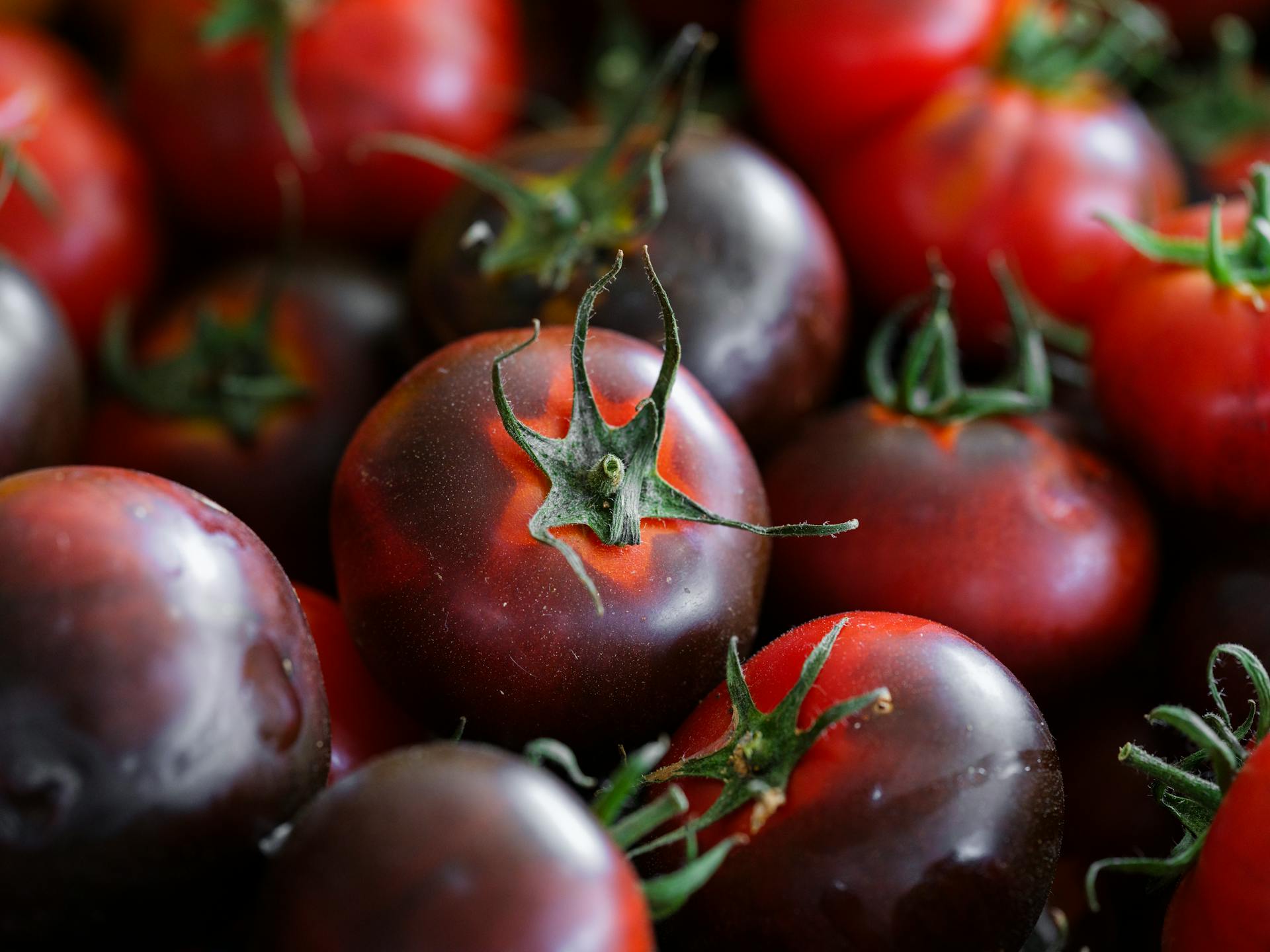 Heap of Fresh Tomatoes