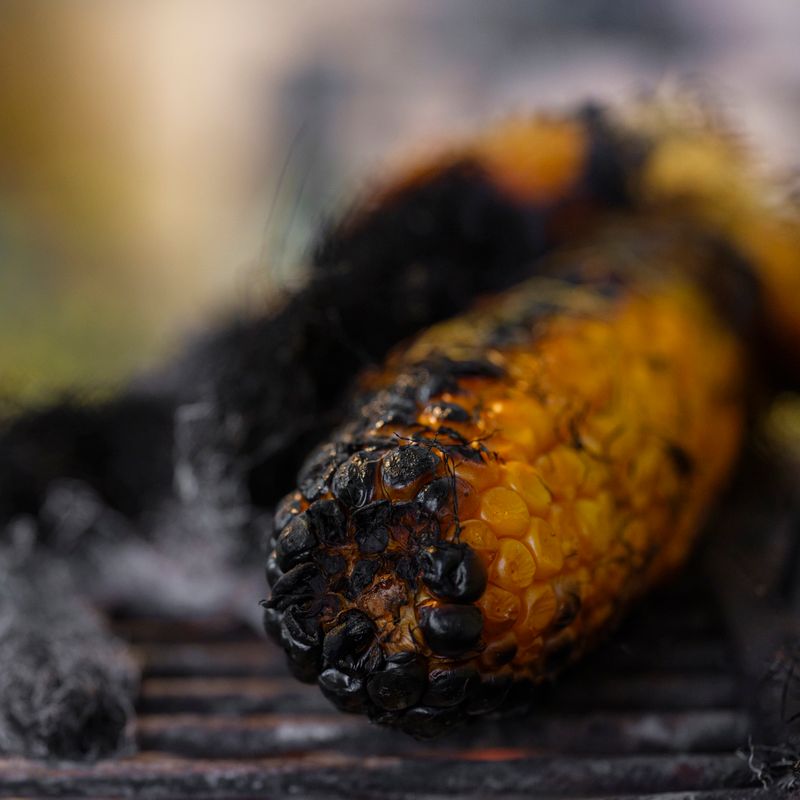 Slow Cooker Charred Corn and Crispy Cilantro Seed Brown Rice