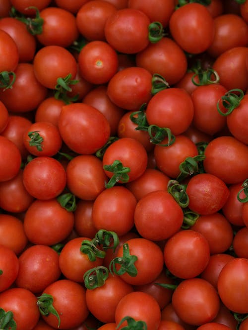 fresh and delicious tomatoes