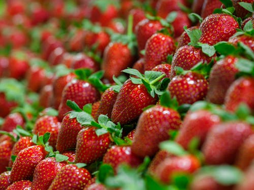 healthy strawberries at the market