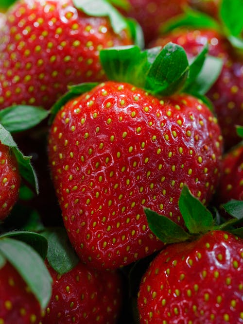 Foto d'estoc gratuïta de agricultura, antioxidant, baia