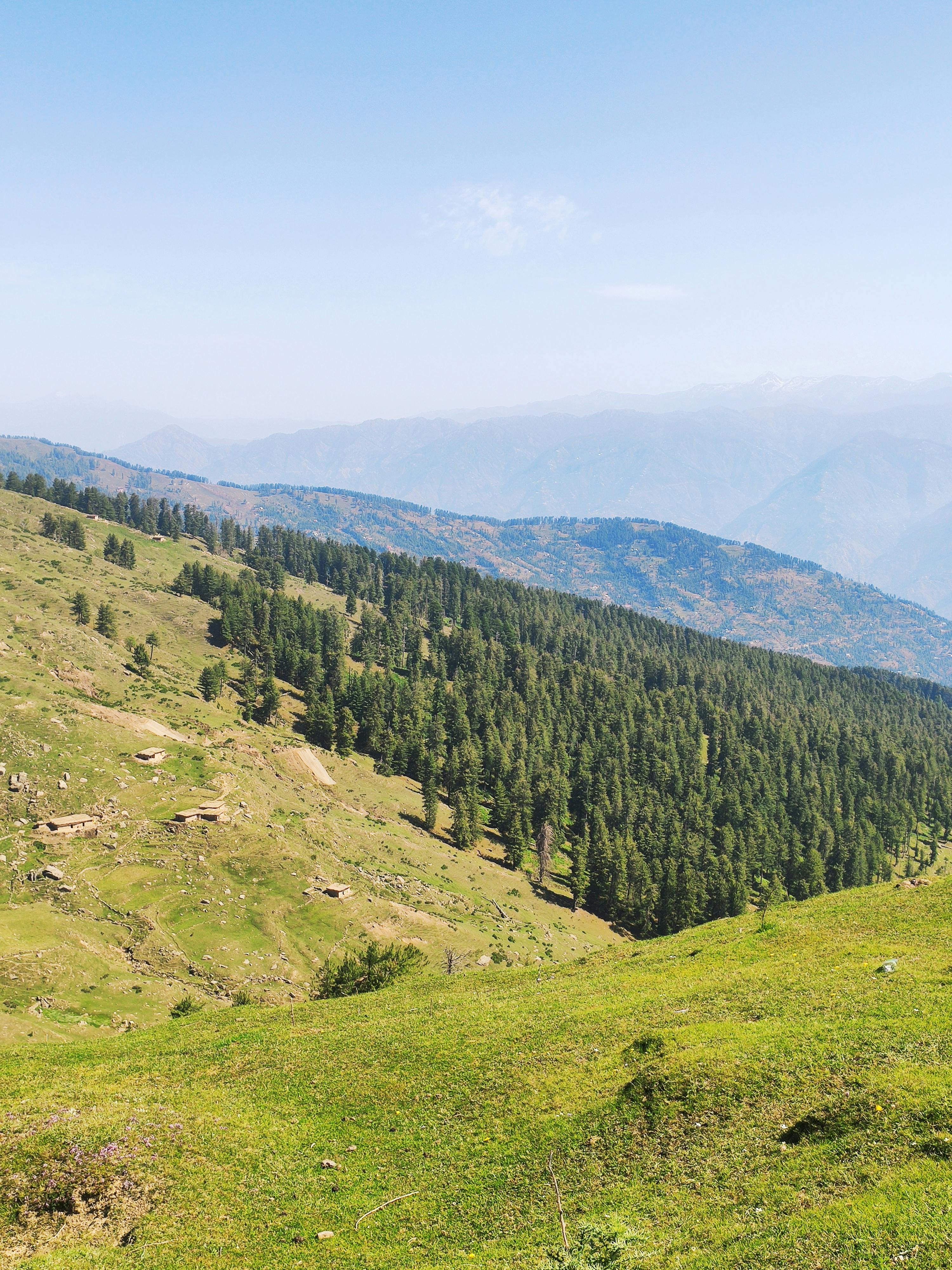Green Forested Ridge in Summer · Free Stock Photo