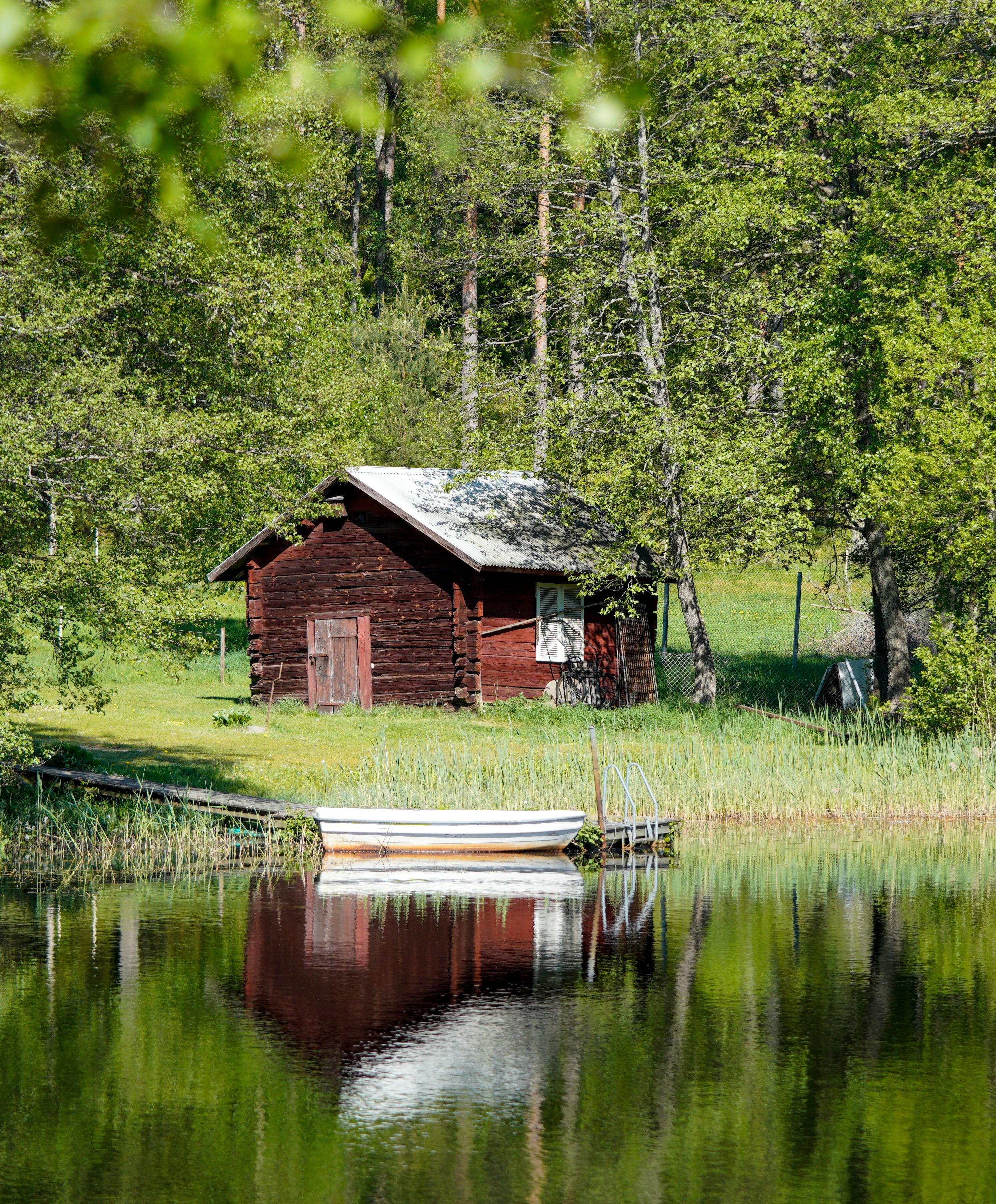 Rustic cabin by a serene lake surrounded by lush greenery, perfect for rural retreats.