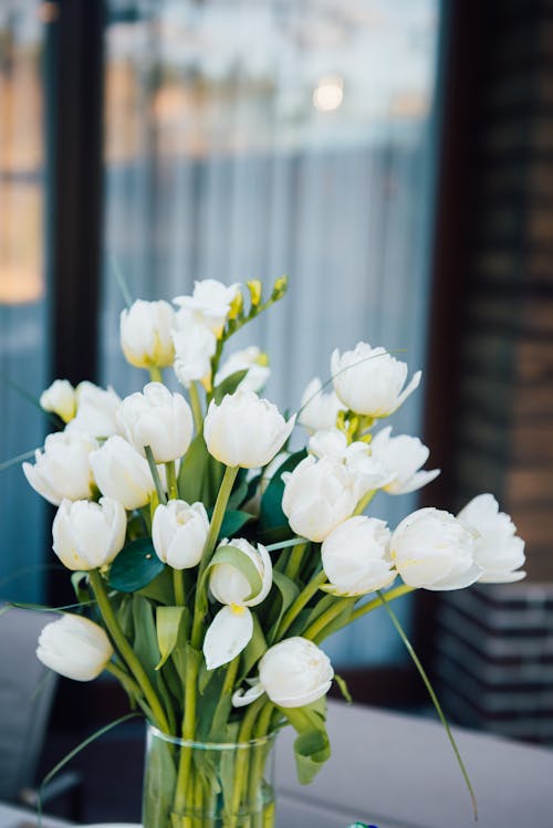 A vase filled with white tulips on a table