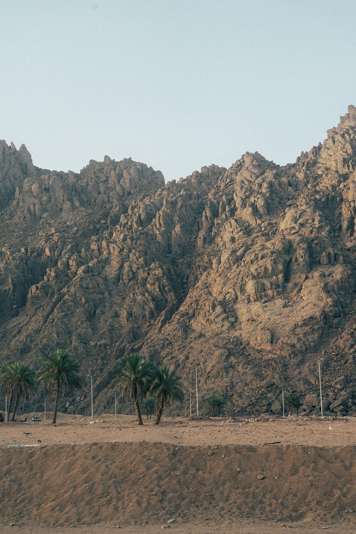 WHAT IS THE SINAI visual data 2