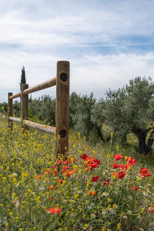 A wooden fence with flowers in the foreground